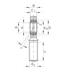 桿端軸承 GAR60-DO-2RS, 根據 DIN ISO 12 240-4 標準，帶右旋外螺紋，需維護，兩側唇密封